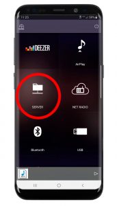 streaming 01 sources circle Smartphone screen with app visible and the icon for and word "server" circled.