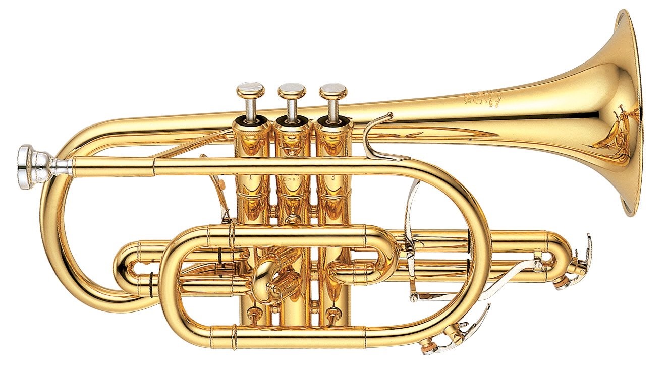 YCR-8335-cornet Close-up of modern cornet seen in profile.