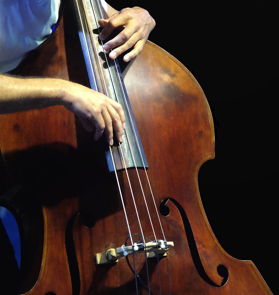 Plucked-bass-crop Double bass. The musician playing contrabass musical instrument on black background.