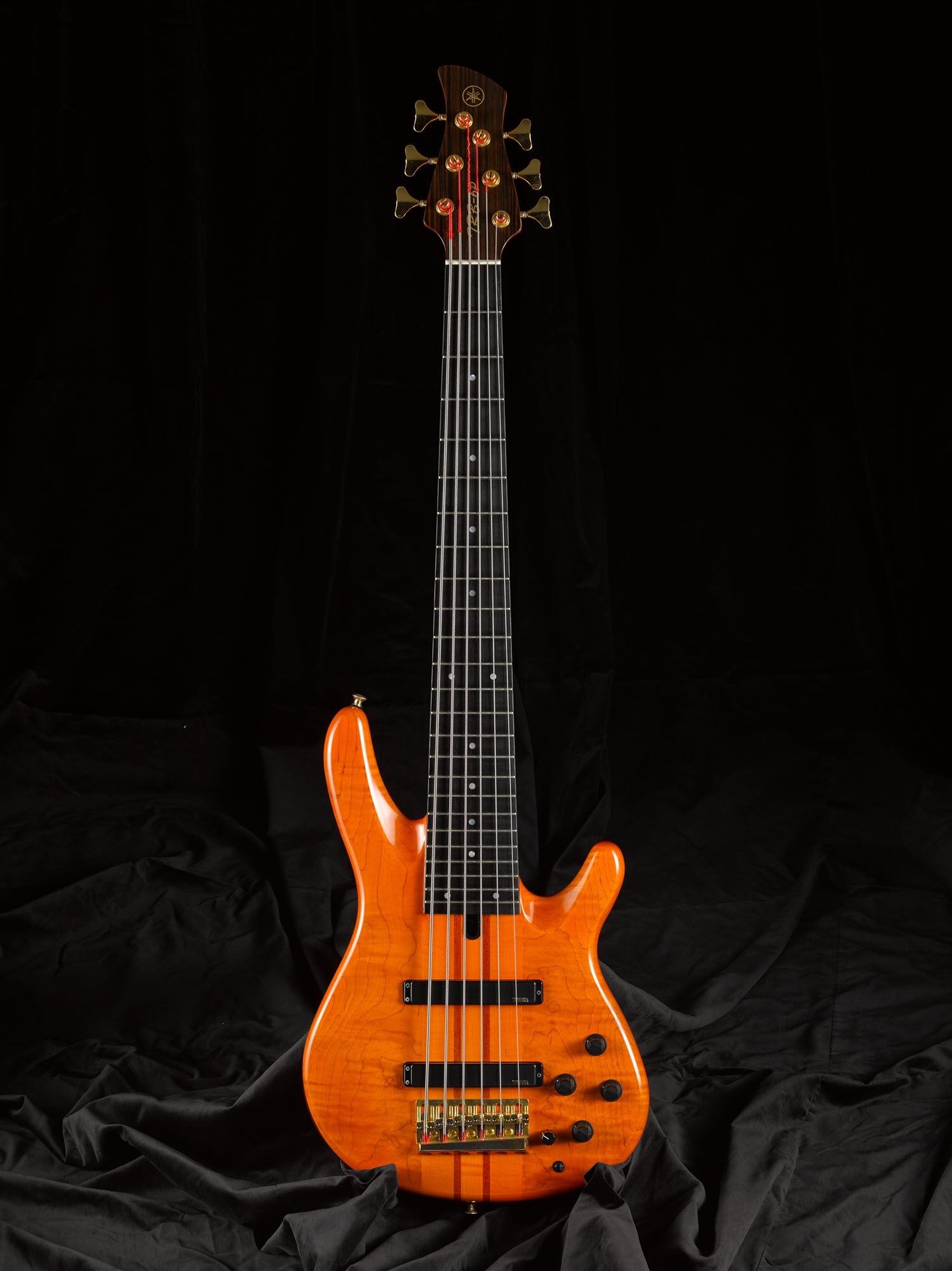 TRB6Pv2 Bass guitar.
