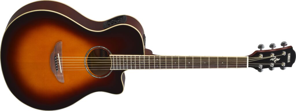 APX600-scaled An acoustic guitar.