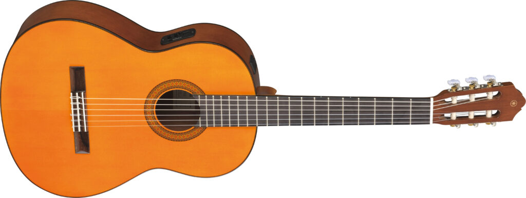 CGX102-scaled An acoustic guitar.