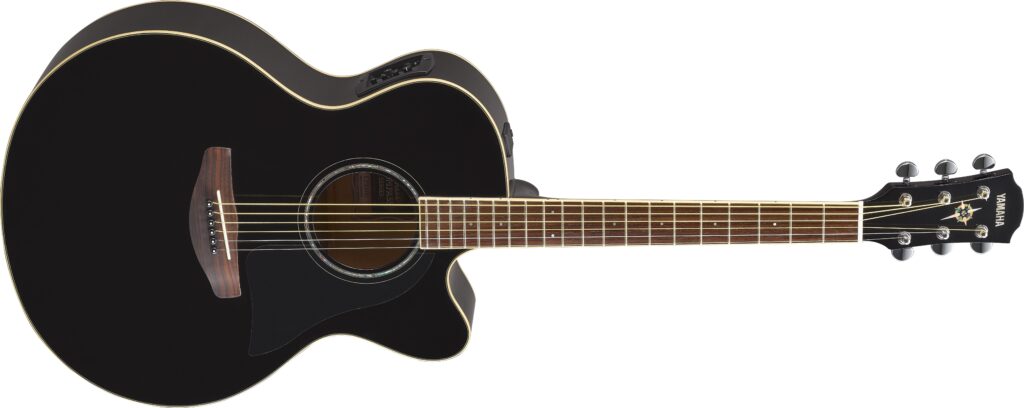 CPX600-scaled. An acoustic guitar.