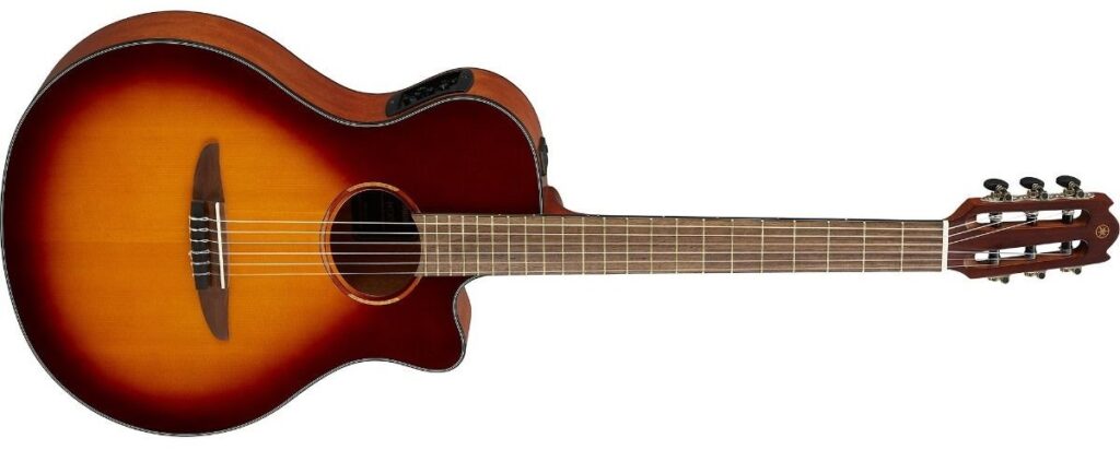 NTX1 An acoustic guitar.